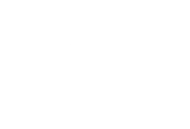 The Woo Cycle